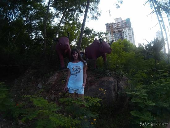 У подножья