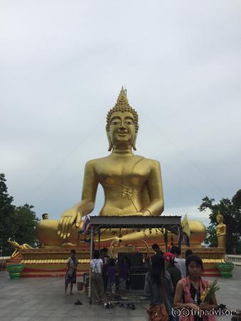 photo1.jpg