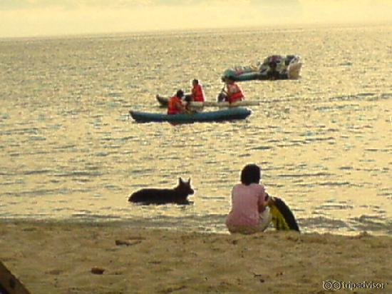 Auf  der Hund darf mal schwimmen