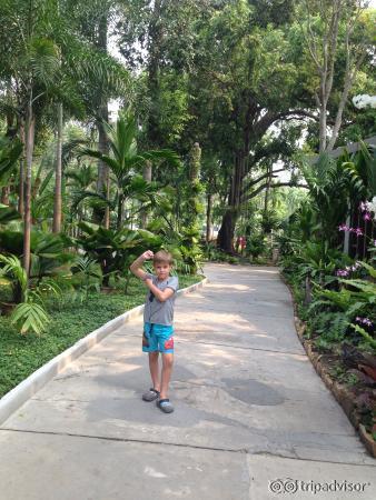 Изумительная территория