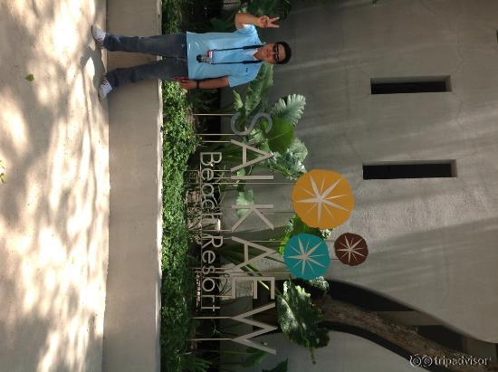 เช็คอิน