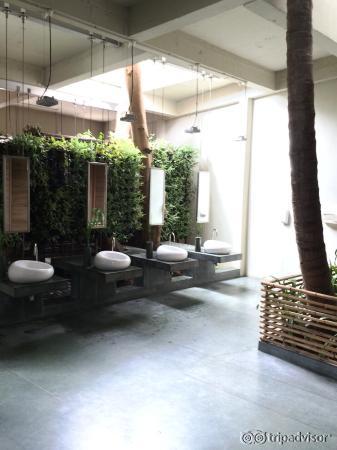 Outdoor toiletVery impressive design