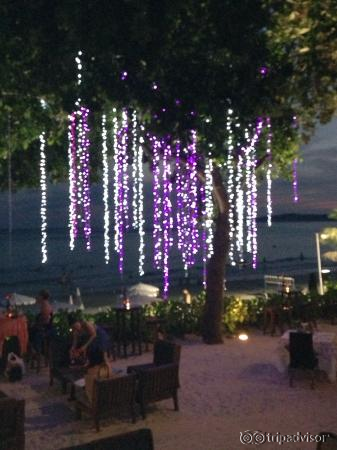 Вечером в ресторане.