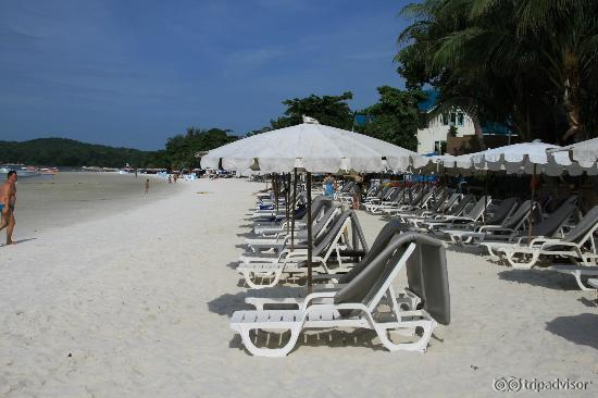 Лежаки отеля