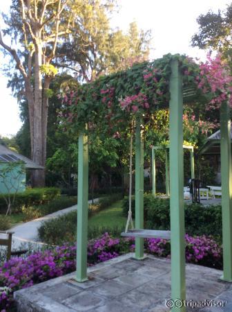 Balcony swing....nice