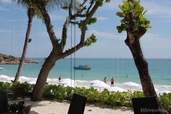 Vista dal ristorante