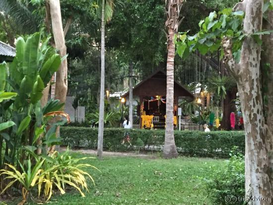 Une végétation omniprésente ...