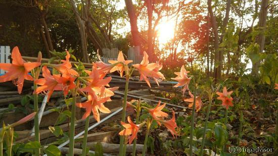 Sai Kaew Beach Resort