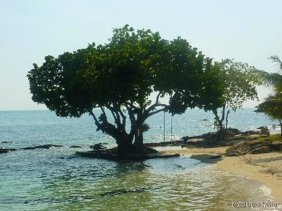 Pineapple Beach - there's nothing like it