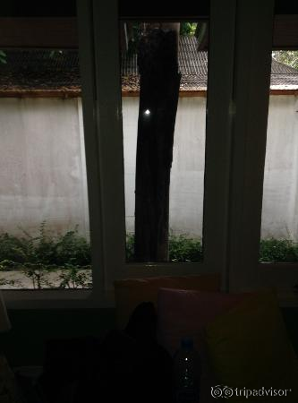 The concrete view from our 