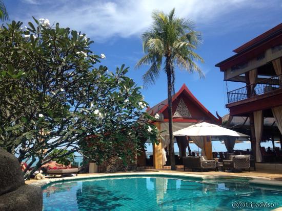 La piscine et le bar
