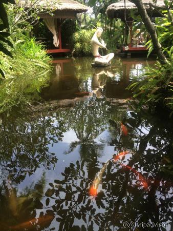 вид на пруд