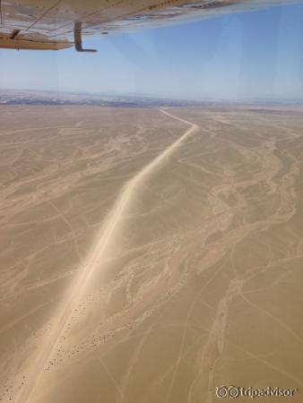 Wolwedans- out of this world