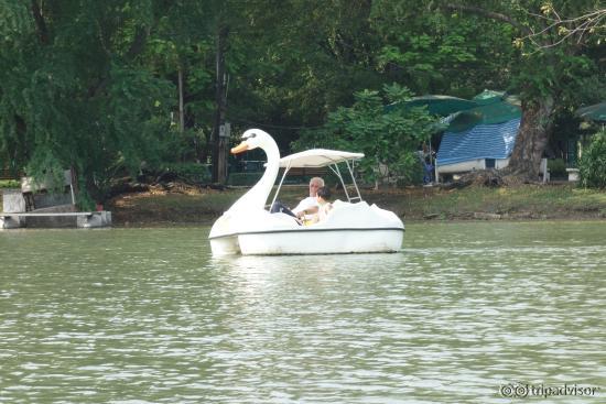 Someone riding boats :)