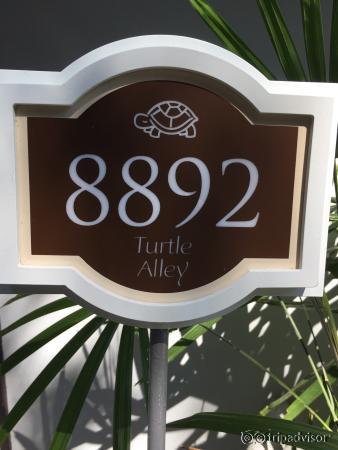 Our amazing honeymoon march 2015