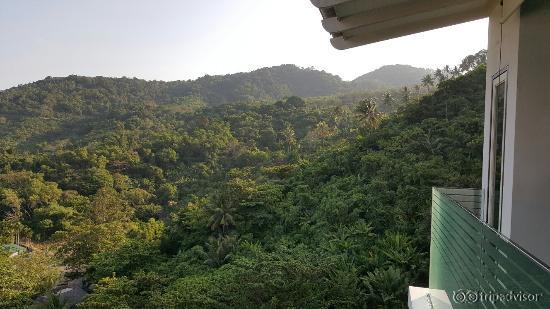 Some memories of The Shore