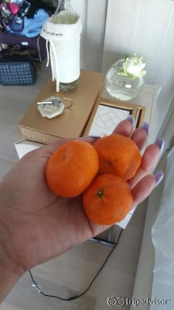 Some memories of The Shore