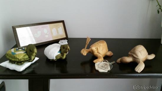 oda temizlik kaplumbağaları