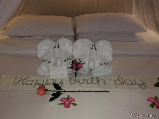 Birthday decorations