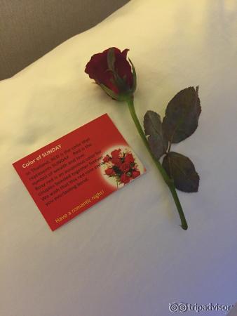 The Shore at Katathani