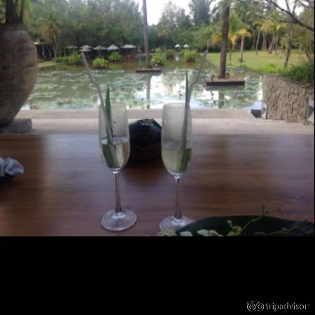 Welcome drinks in reception