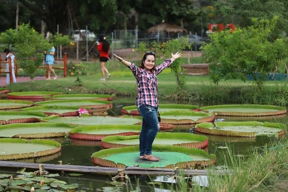 นั่งได้จริง ใบบัวยักษ์ แหล่งท่องเที่ยวแห่งใหม่ค่ายทหาร