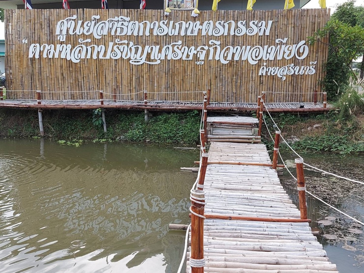 นั่งได้จริง ใบบัวยักษ์ แหล่งท่องเที่ยวแห่งใหม่ค่ายทหาร