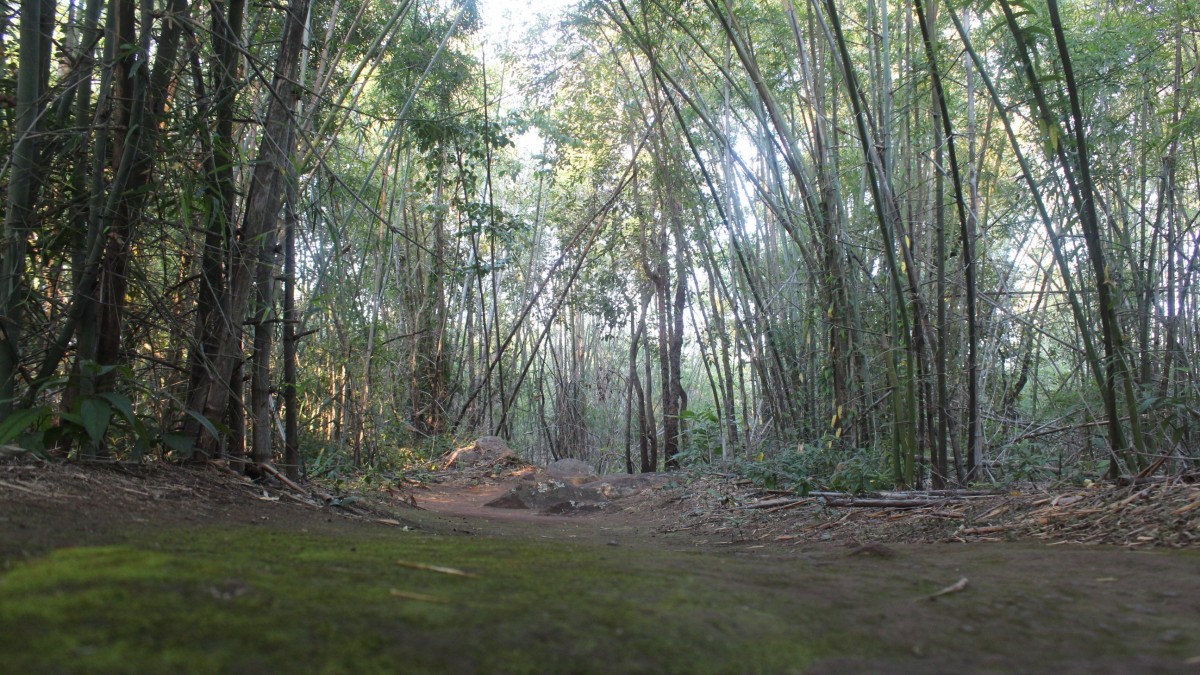 เขาจอมทอง แหล่งท่องเที่ยวรับลมหนาว ต้นน้ำเขื่อนมูลบน