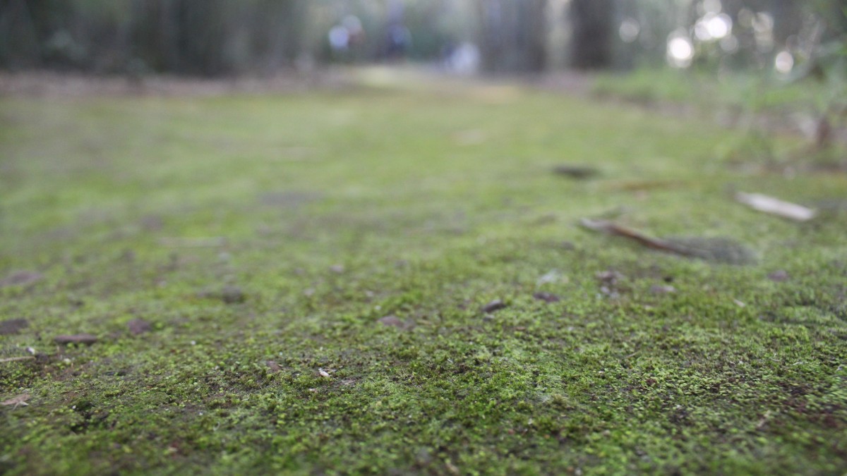 เขาจอมทอง แหล่งท่องเที่ยวรับลมหนาว ต้นน้ำเขื่อนมูลบน