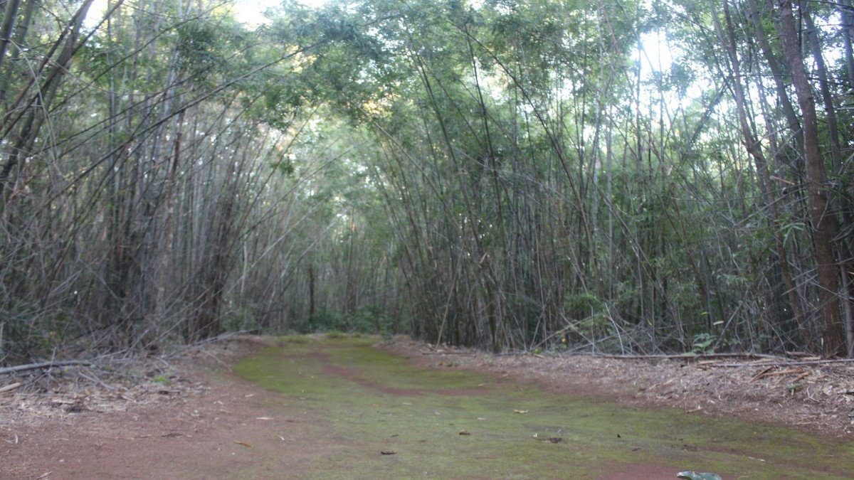 เขาจอมทอง แหล่งท่องเที่ยวรับลมหนาว ต้นน้ำเขื่อนมูลบน