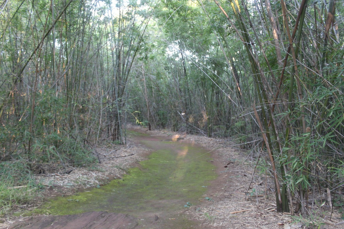 เขาจอมทอง แหล่งท่องเที่ยวรับลมหนาว ต้นน้ำเขื่อนมูลบน