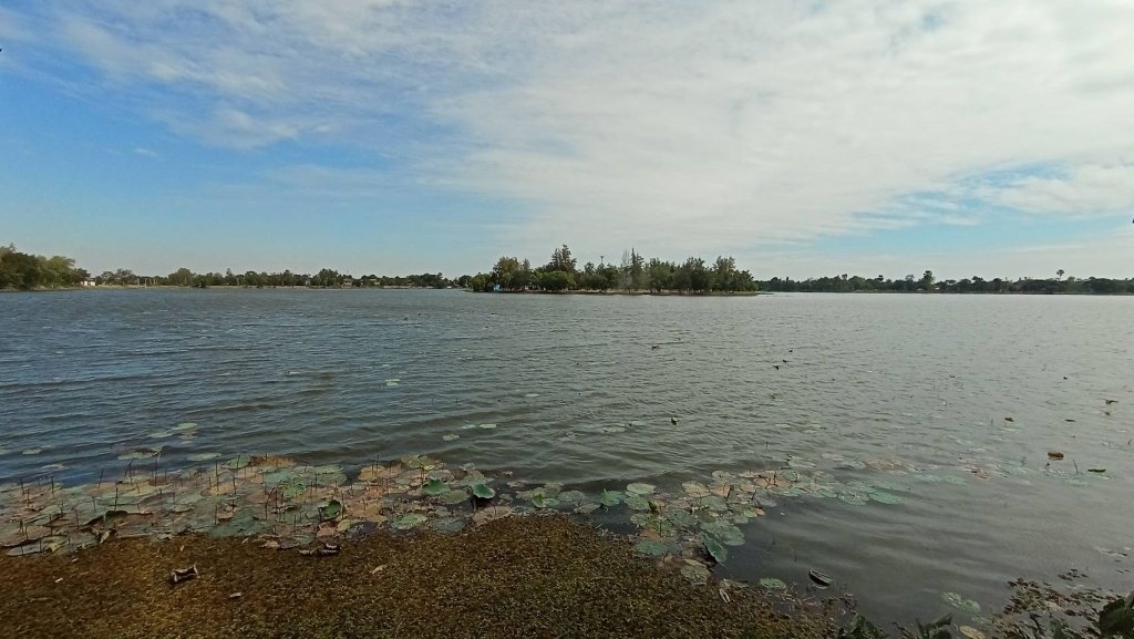 เกาะกลางบึงบัวใหญ่ จุดเช็คอิน โต้ลมหนาวต้อนรับปีใหม่