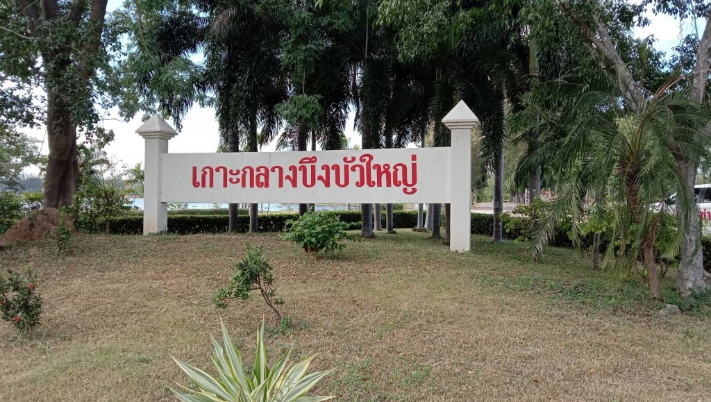 เกาะกลางบึงบัวใหญ่ จุดเช็คอิน โต้ลมหนาวต้อนรับปีใหม่