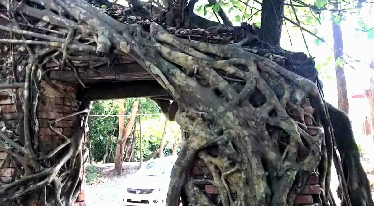 "ประตูแห่งการเวลา" มหัศจรรย์ความงามของอุโบสถปรกโพธิ์ อายุกว่า 151 ปี