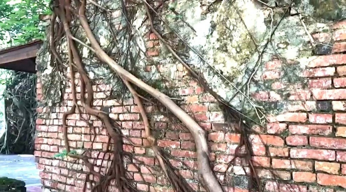 "ประตูแห่งการเวลา" มหัศจรรย์ความงามของอุโบสถปรกโพธิ์ อายุกว่า 151 ปี