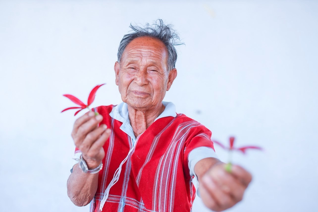 SACIT ผนึกกำลังภาคีเครือข่าย ฟื้นฟู “ยางรัก” สร้างความยั่งยืนงานเครื่องรักไทย