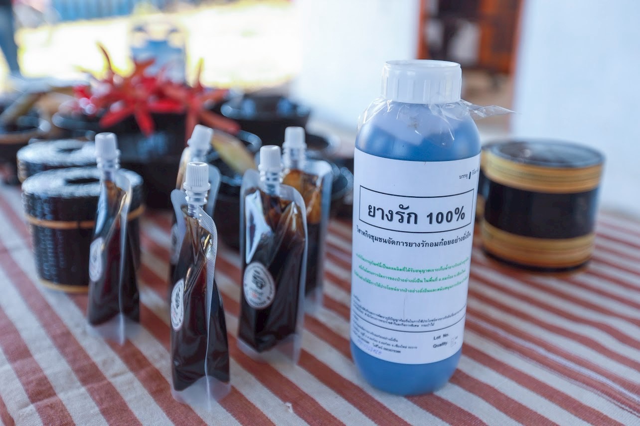 SACIT ผนึกกำลังภาคีเครือข่าย ฟื้นฟู “ยางรัก” สร้างความยั่งยืนงานเครื่องรักไทย