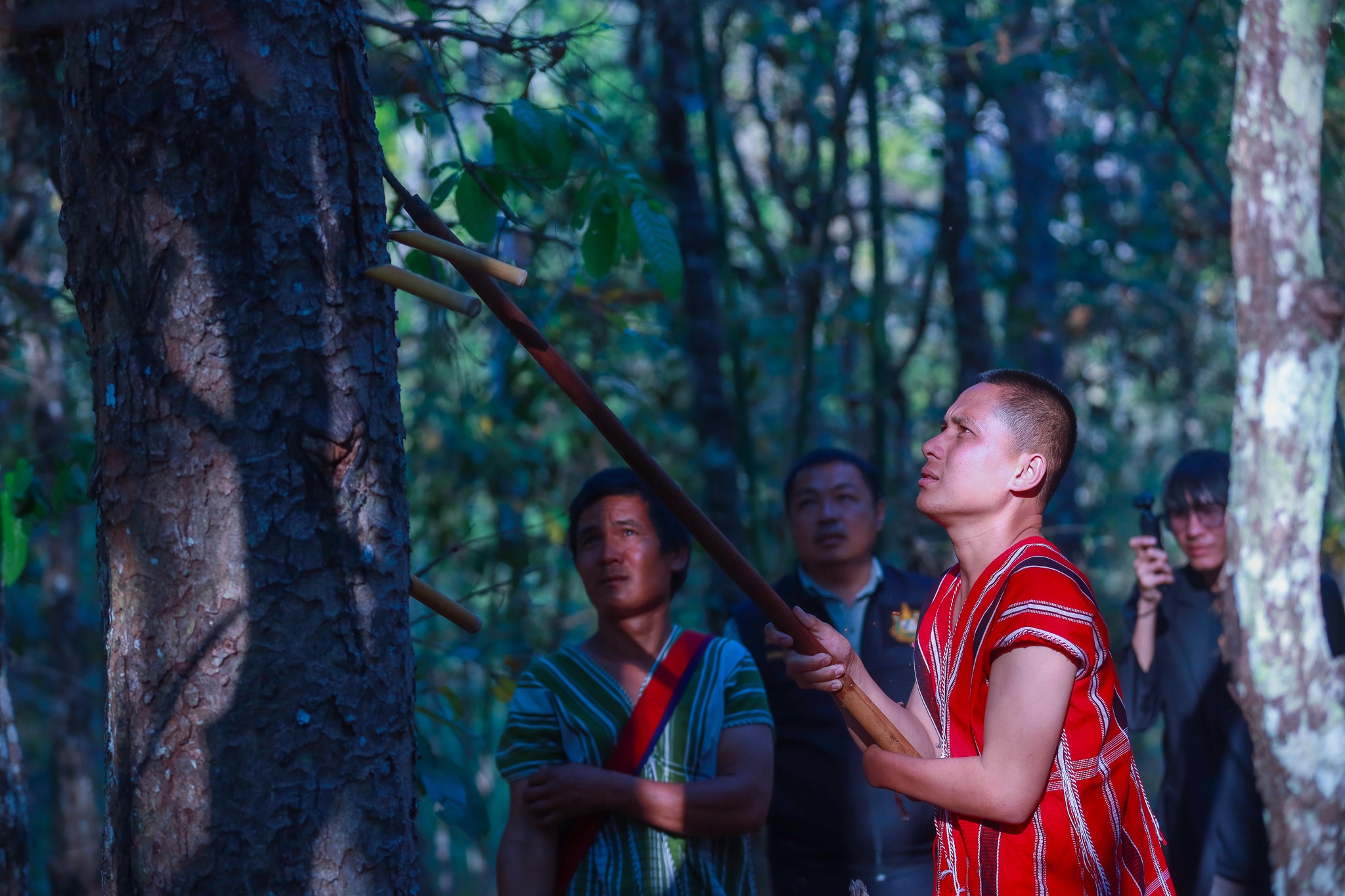 SACIT ฟื้น “ต้นน้ำยางรัก”  ดันวัตถุดิบหายากสู่ หลักทรัพย์ค้ำประกันทางธุรกิจ