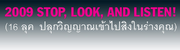 แฟชั่น fashion