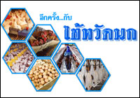 ไข้หวัดนก