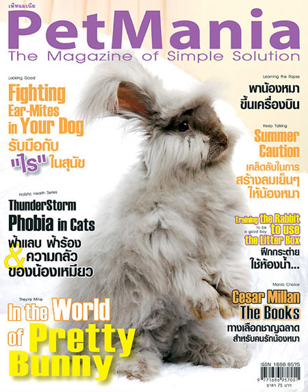 PETMANIA, สัตว์เลี้ยง, กระต่าย