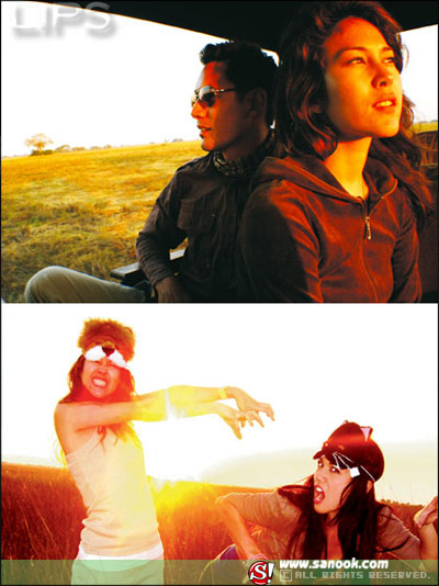 พอลล่า เทเลอร์