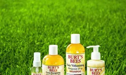 Burt’s Bees Body Wash & Body Care