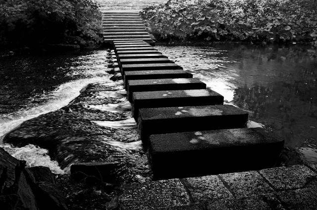 1457521650 steps bushy bw