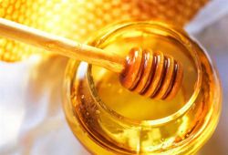 เยียวยาโรคภัย ห่างไกลปัญหาสุขภาพ..ด้วยความหวานจากน้ำผึ้ง