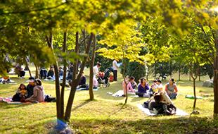 Seek love and you shall find . @ Nami Island 