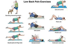 Exercise for Lower Back Pain 