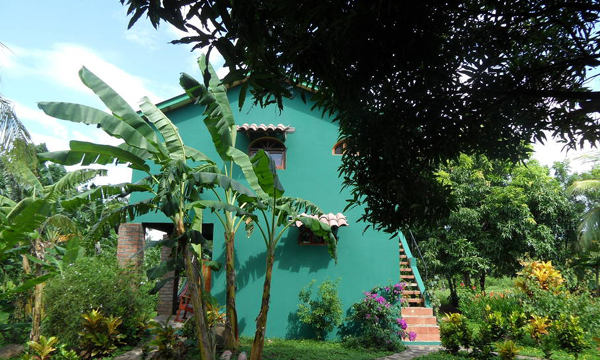แบบบ้านปูนสองชั้น ทาผนังสีเขียว มีสวนต้นไม้และพืชผักรอบบ้าน