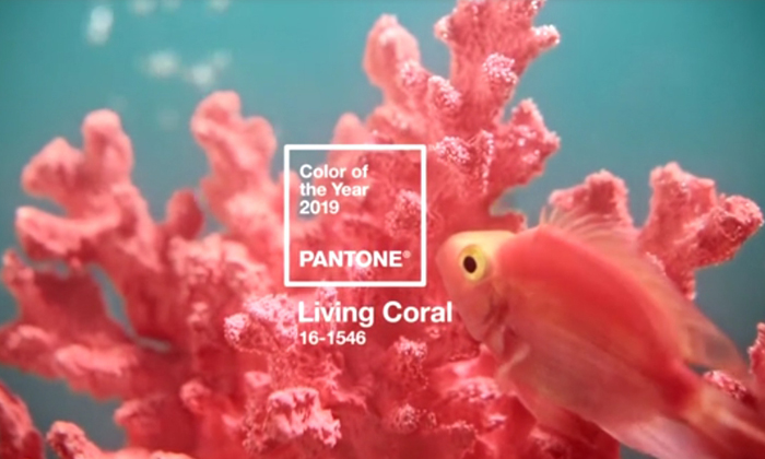 “Living Coral” หรือสีส้มปะการัง สี Pantone ประจำปี 2019