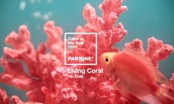 “Living Coral” หรือสีส้มปะการัง สี Pantone ประจำปี 2019